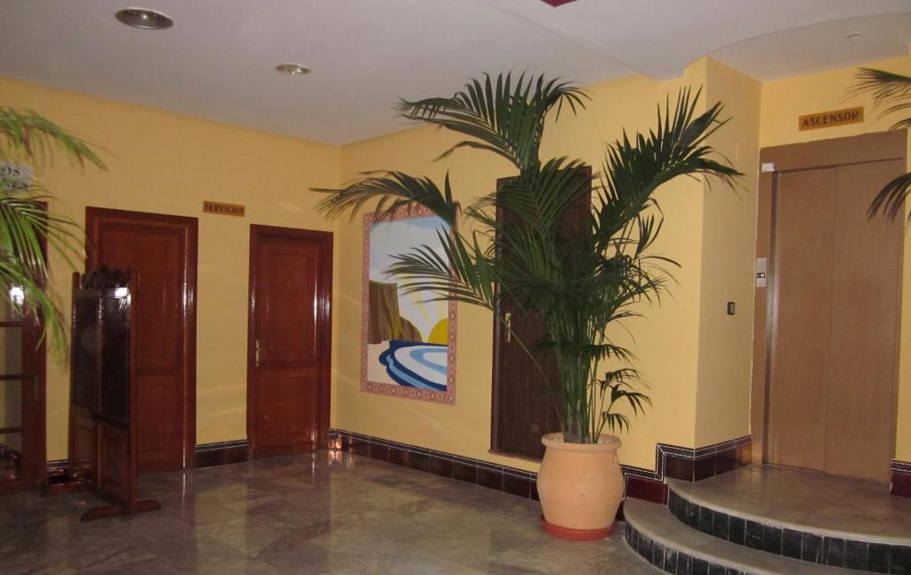 Hotel San Vicente - Centro Playa Conil De La Frontera Ngoại thất bức ảnh